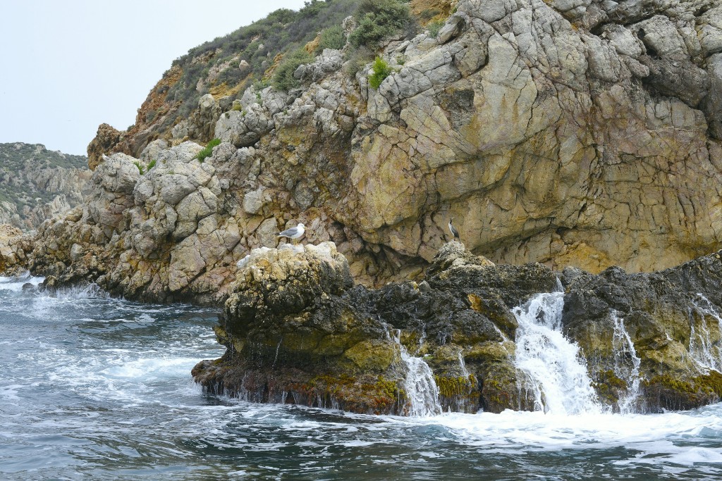Actividades acuáticas en el Parque Natural del Montgrí, les Illes Medes y el Baix Ter, Costa Brava
