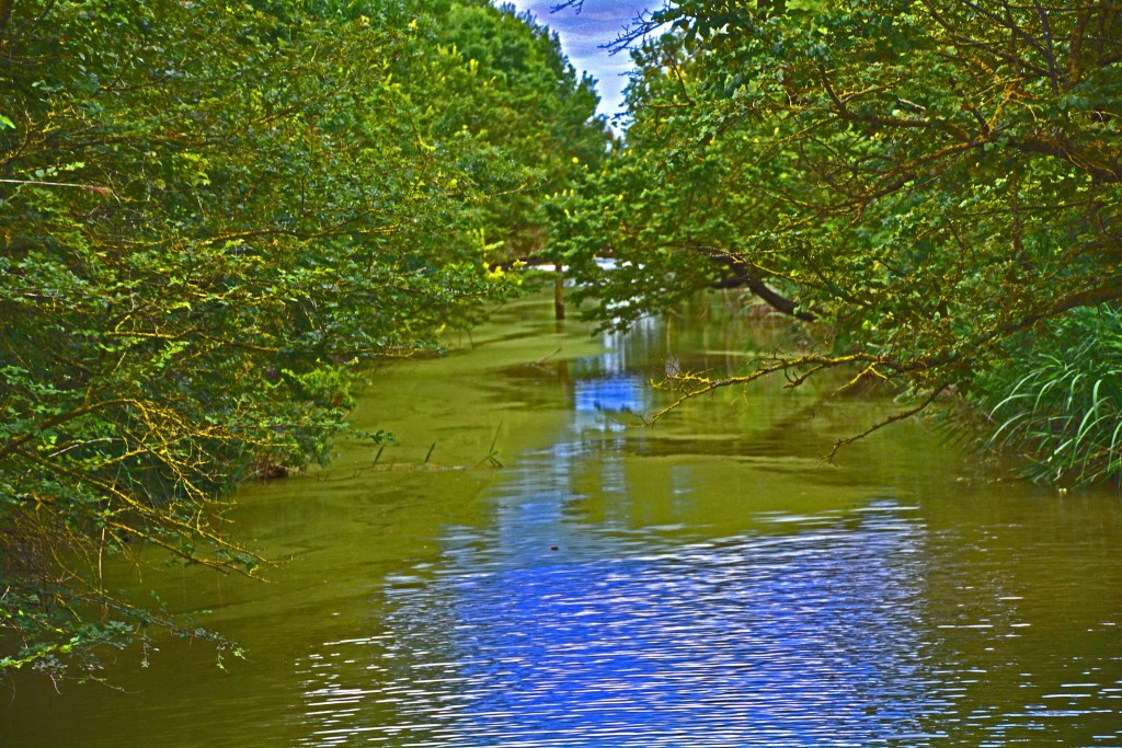 Aiguamolls de l’Empordà, Empordà (Alt Empordà, Girona)