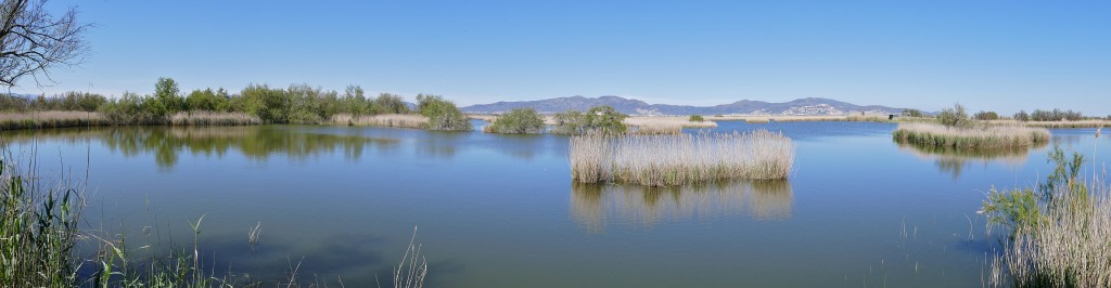 Aiguamolls de l’Empordà, Parque Natural del Alto Ampurdà, Girona