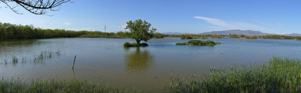 Aiguamolls de l’Empordà, Parque Natural del Alto Ampurdà, Girona