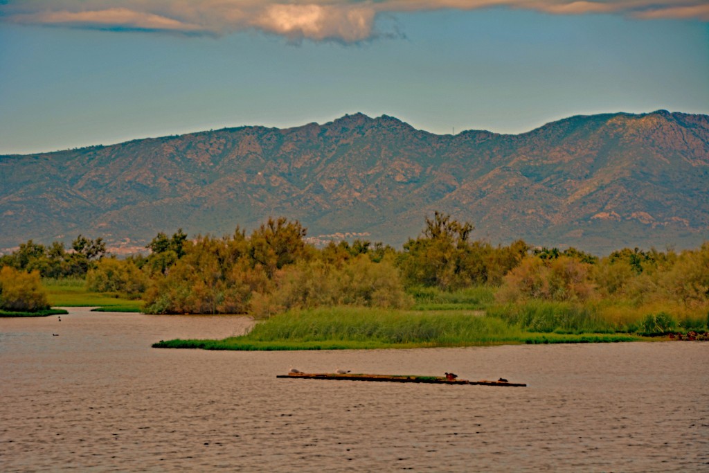 Aiguamolls de l’Empordà, Parque Natural del Alto Ampurdà, Girona