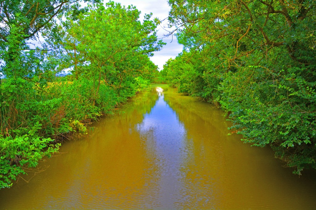Aiguamolls de l’Empordà, Parque Natural del Alto Ampurdà, Girona