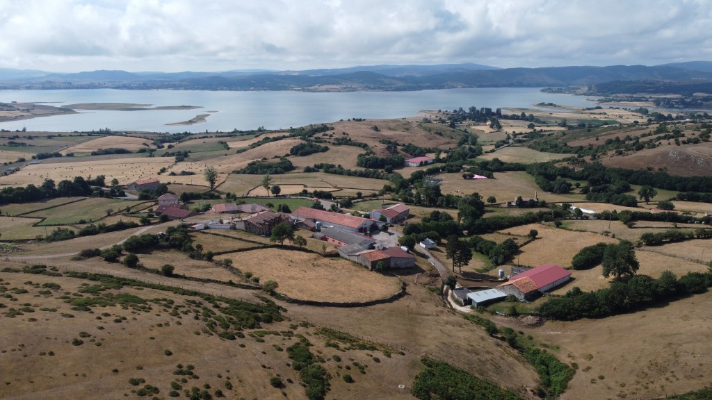 Aves del Monte Coza, Campoo-Los Valles, Cantabria