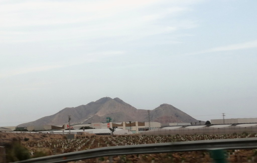 Cabezo Gordo, Torre-Pacheco, Murcia