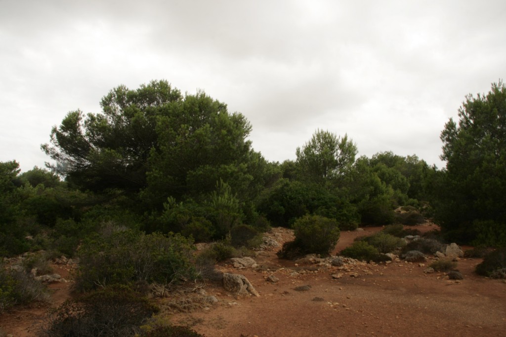 Camí de Cavalls, Menorca