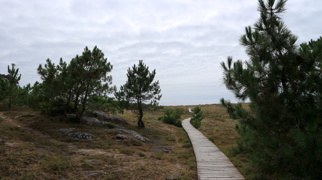 Complejo Dunar de Corrubedo y Lagunas de Carregal y Vixán, A Coruña