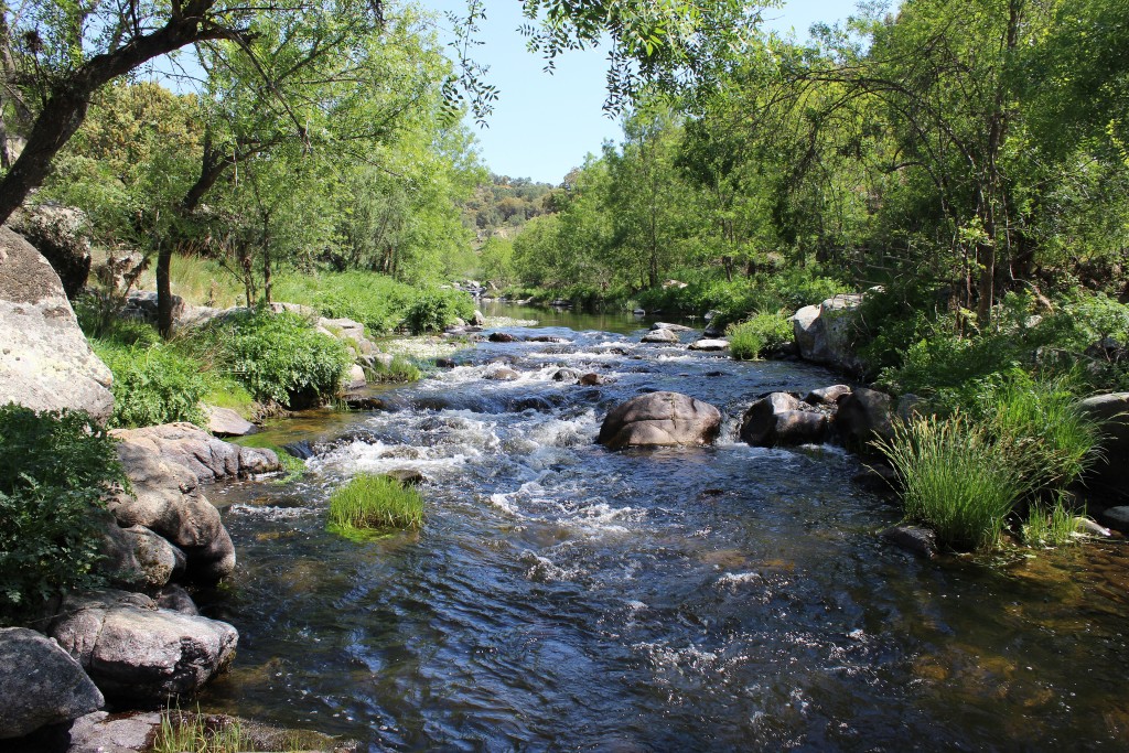 Corredor Ecológico y de Biodiversidad Pinares del Tiétar, Cáceres