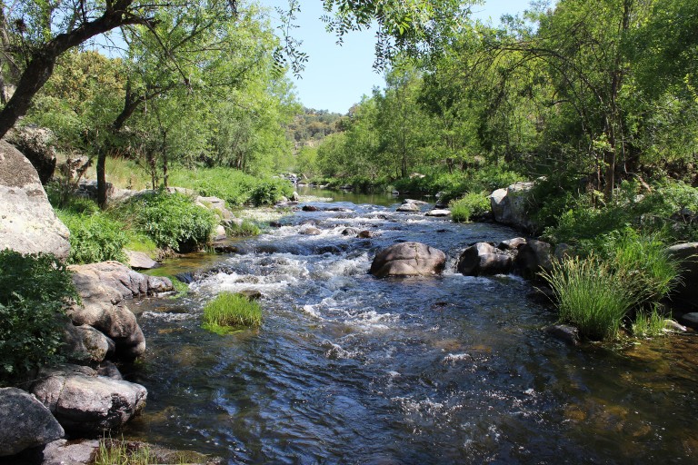 Corredor Ecológico y de Biodiversidad Pinares del Tiétar, Cáceres