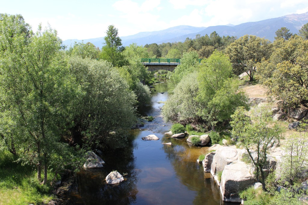 Corredor Ecológico y de Biodiversidad Pinares del Tiétar, Cáceres