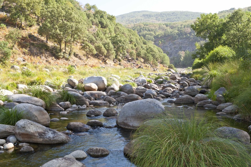 Corredor Ecológico y de Biodiversidad Pinares del Tiétar, Cáceres