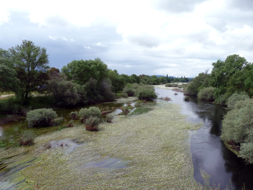 Corredor Ecológico y de Biodiversidad Pinares del Tiétar, Cáceres