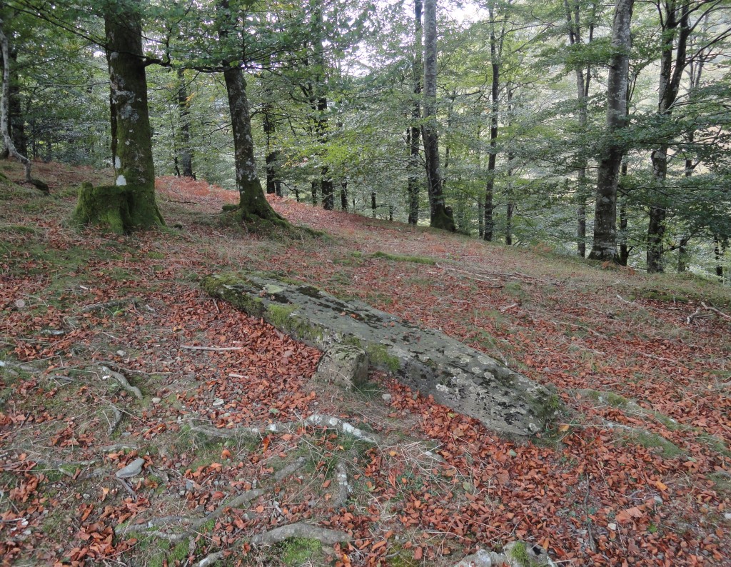 Embalse de Leurtza, Área Natural Recreativa en Beinza-Labayen, Navarra