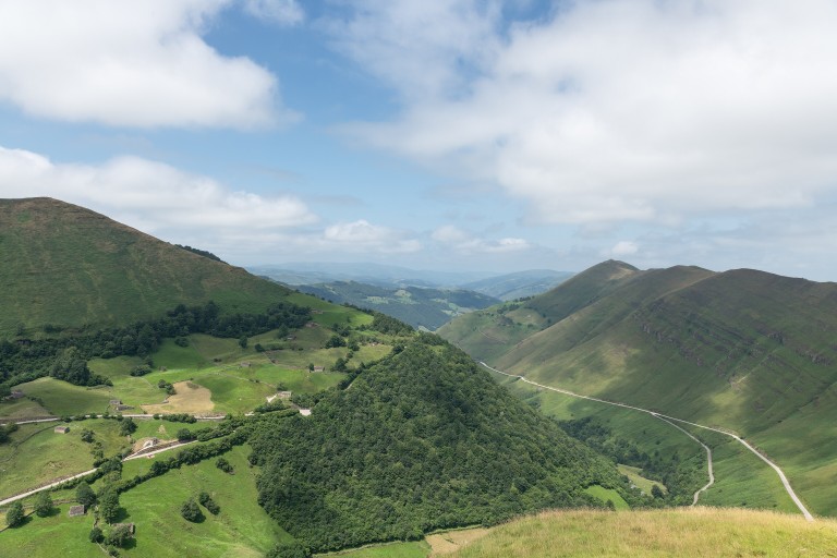 Flora silvestre de montaña, Valles Pasiegos, Cantabria