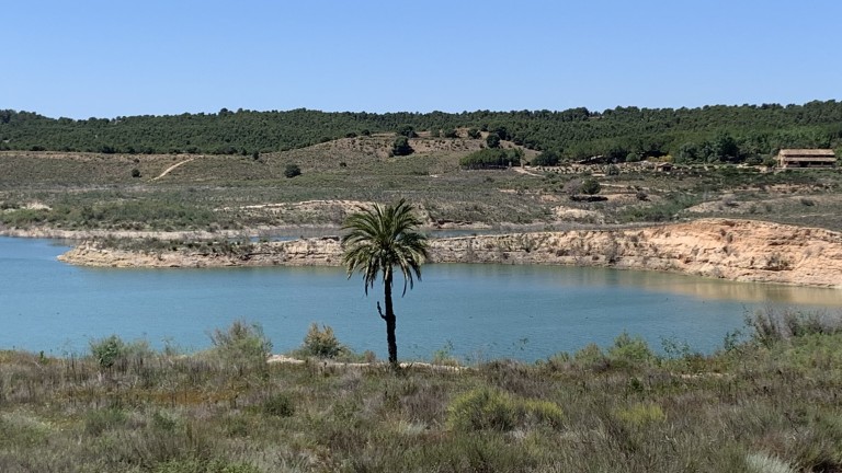 Humedal del Ajauque y Rambla Salada, Murcia
