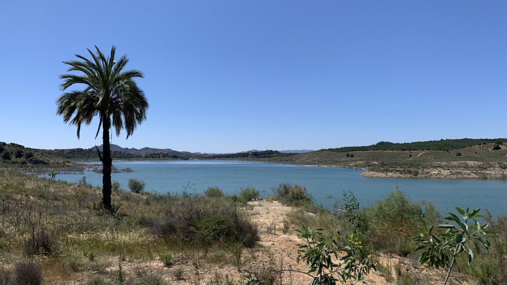 Humedal del Ajauque y Rambla Salada, Murcia