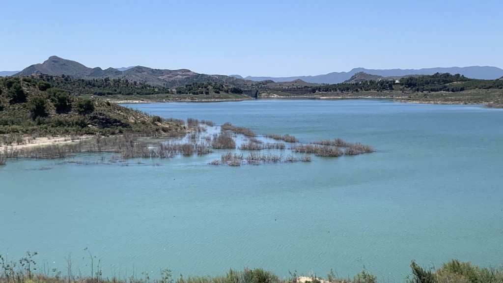 Humedal del Ajauque y Rambla Salada, Murcia