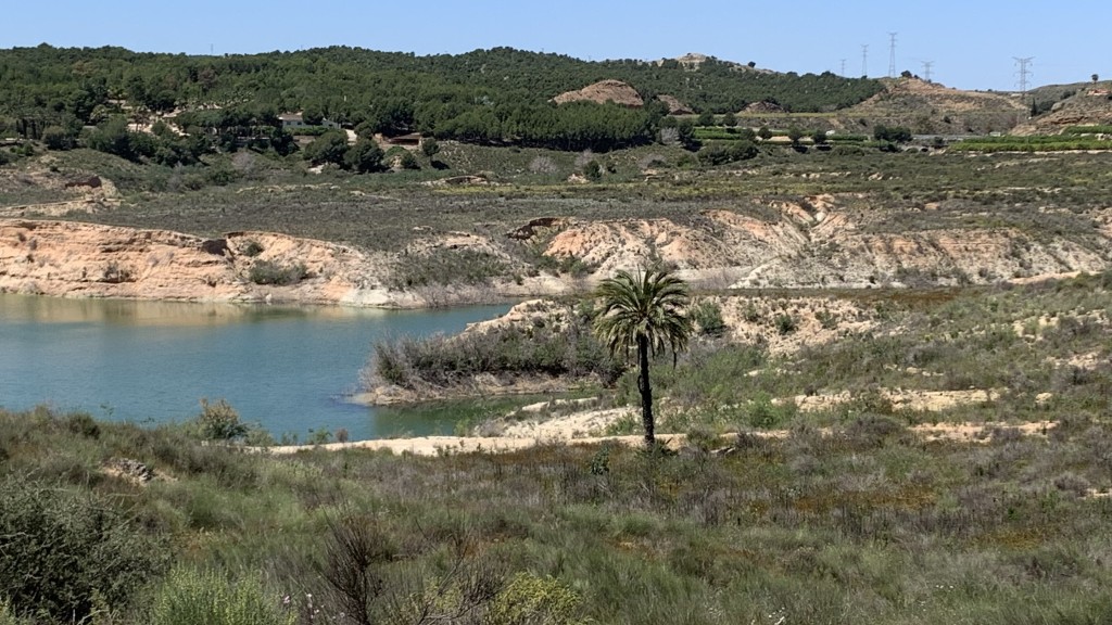 Humedal del Ajauque y Rambla Salada, Murcia