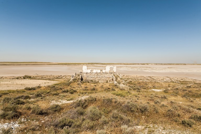 Humedal Ramsar Saladas de Sástago y Bujaraloz, Monegros (Zaragoza)