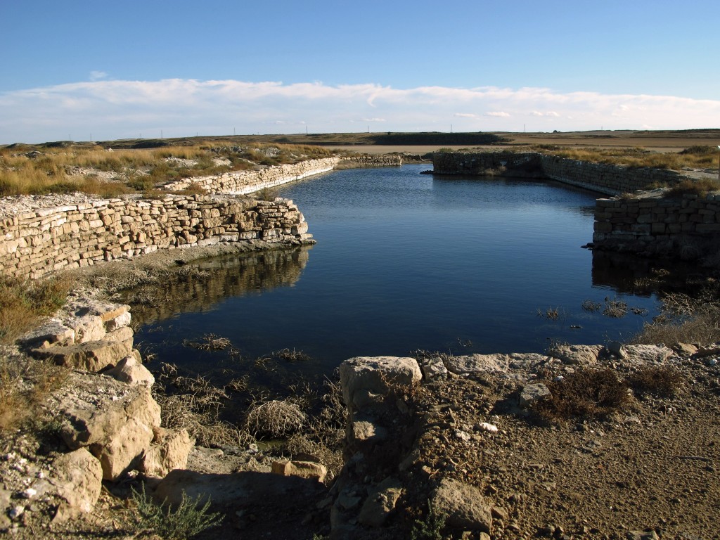 Humedal Ramsar Saladas de Sástago y Bujaraloz, Monegros (Zaragoza)