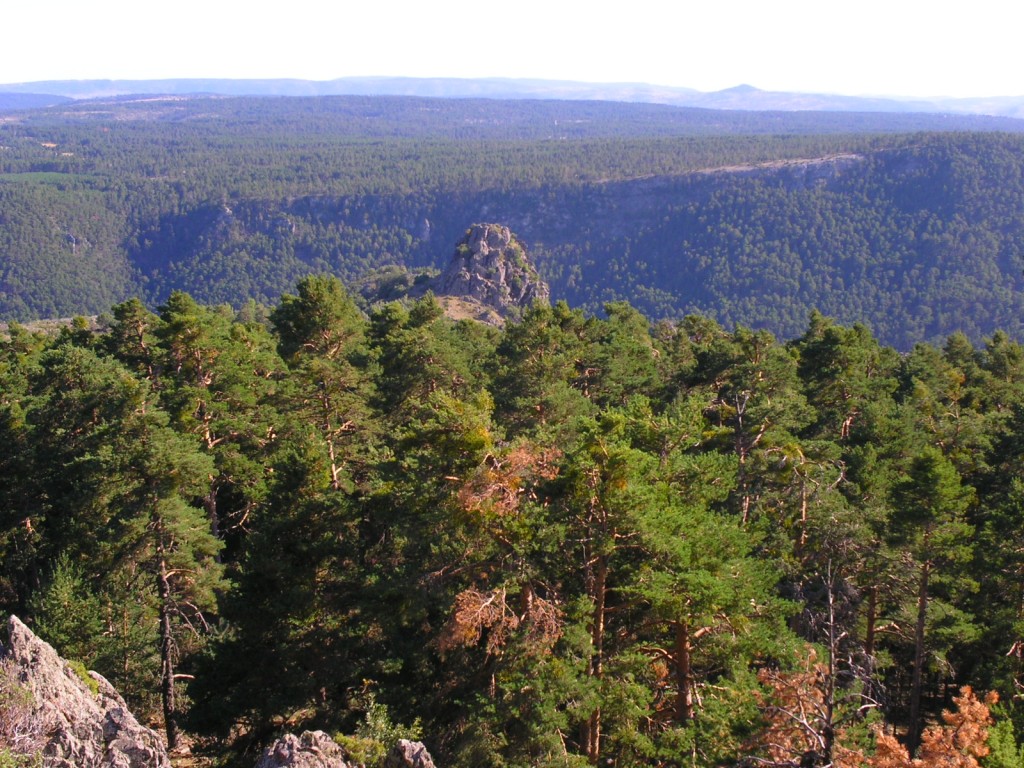 Humedal Ramsar Tremedales de Orihuela, Sierra del Tremedal (Teruel)