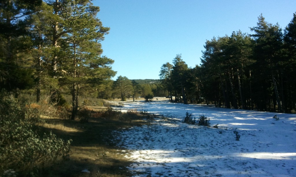 Humedal Ramsar Tremedales de Orihuela, Sierra del Tremedal (Teruel)