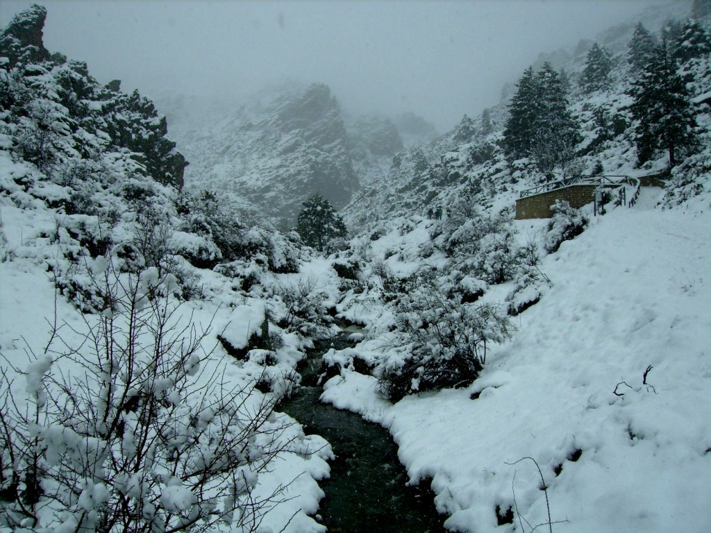 Humedal Ramsar Tremedales de Orihuela, Sierra del Tremedal (Teruel)