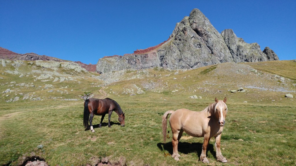 Ibones de Aragón, Pirineo Aragonés