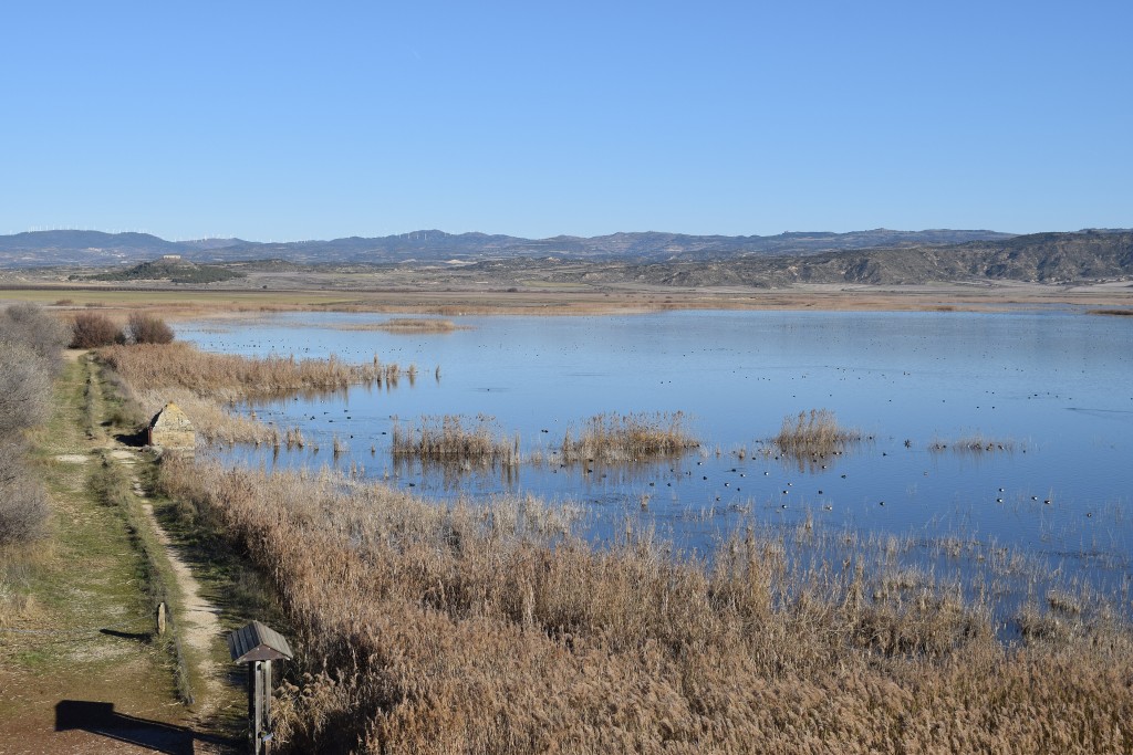 Laguna de Pitillas, Navarra — Reserva Natural y Humedal Ramsar
