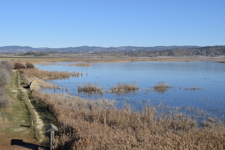 Laguna de Pitillas, Navarra — Reserva Natural y Humedal Ramsar