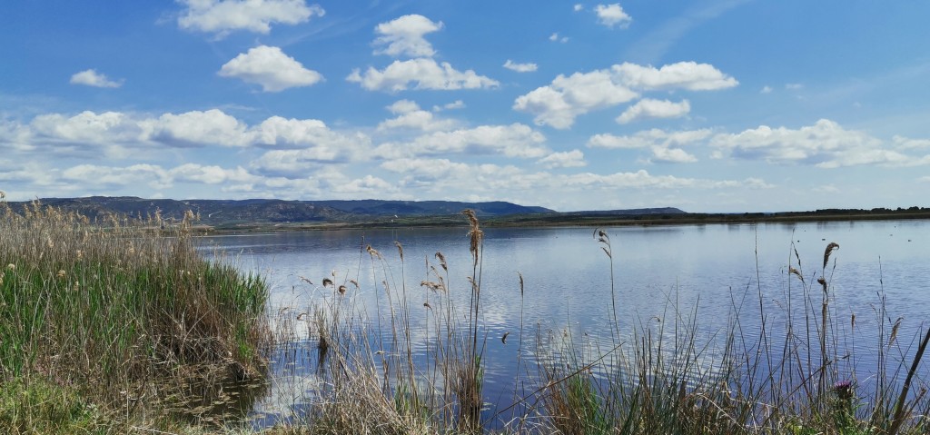 Laguna de Pitillas, Navarra — Reserva Natural y Humedal Ramsar