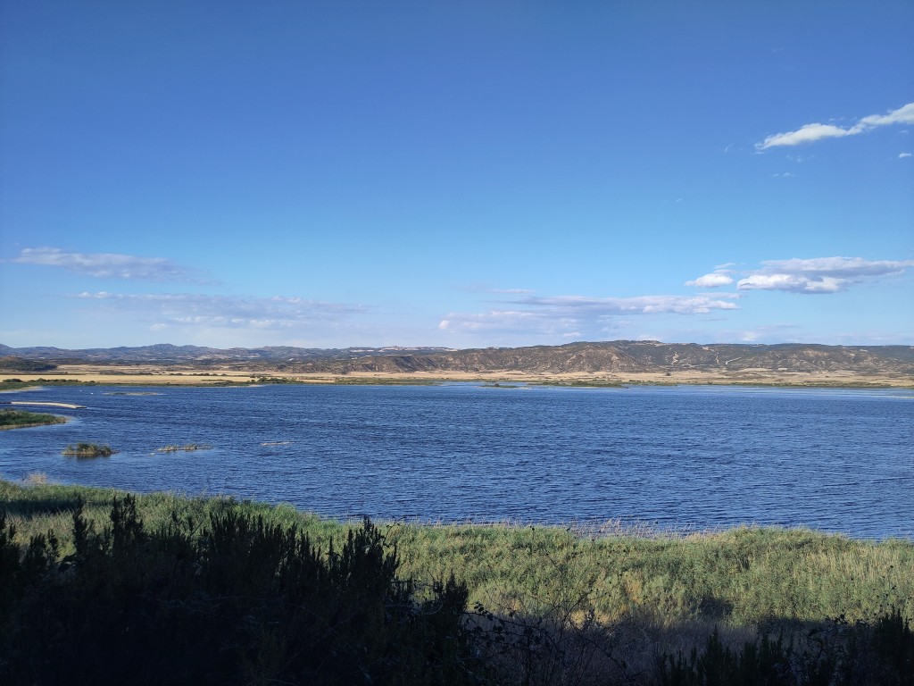 Laguna de Pitillas, Navarra — Reserva Natural y Humedal Ramsar