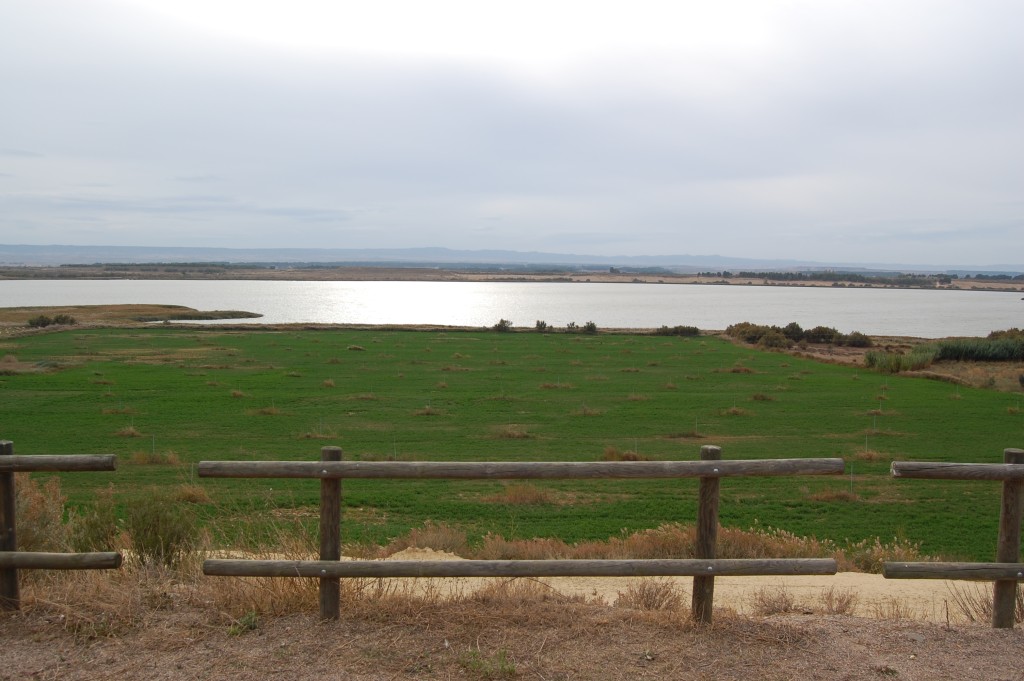 Laguna de Sariñena, Monegros (Huesca)