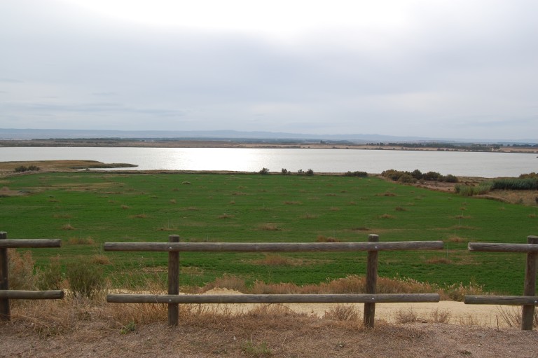 Laguna de Sariñena, Monegros (Huesca)