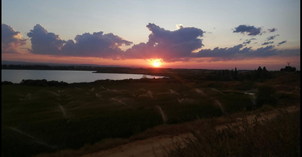Laguna de Sariñena, Monegros (Huesca)