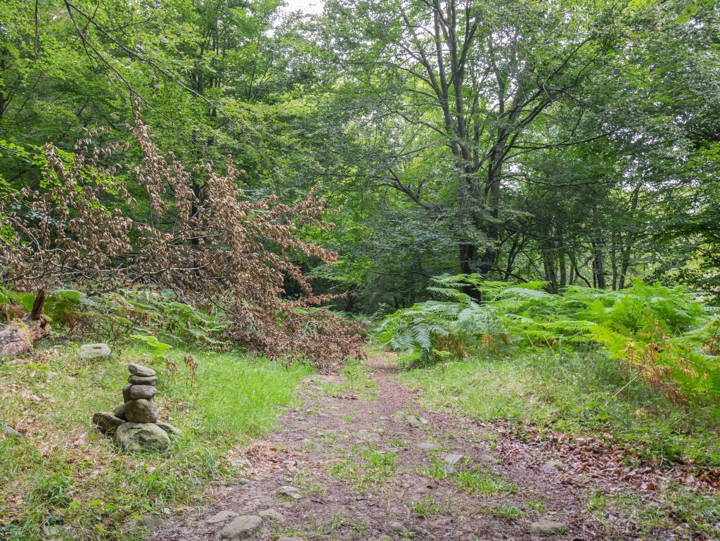 Monte Gorbea, País Vasco