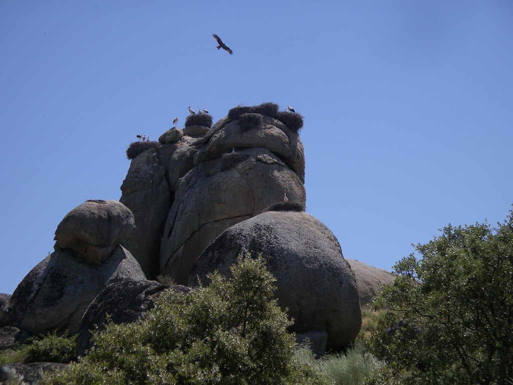 Monumento Natural Los Barruecos, Malpartida de Cáceres