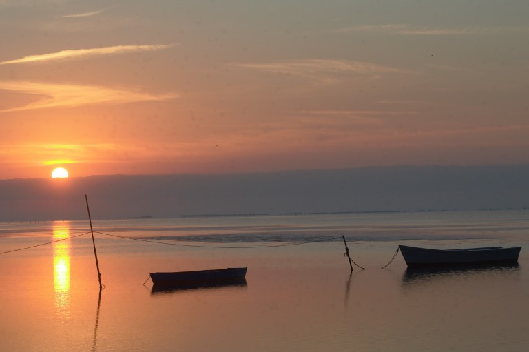 Naturaleza en el Delta de l’Ebre, Tarragona