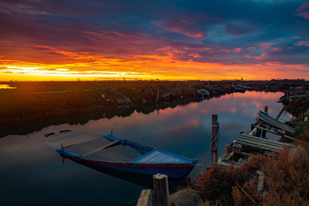 Naturaleza en el Delta de l’Ebre, Tarragona