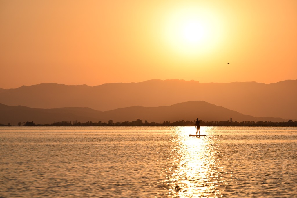 Naturaleza en el Delta de l’Ebre, Tarragona