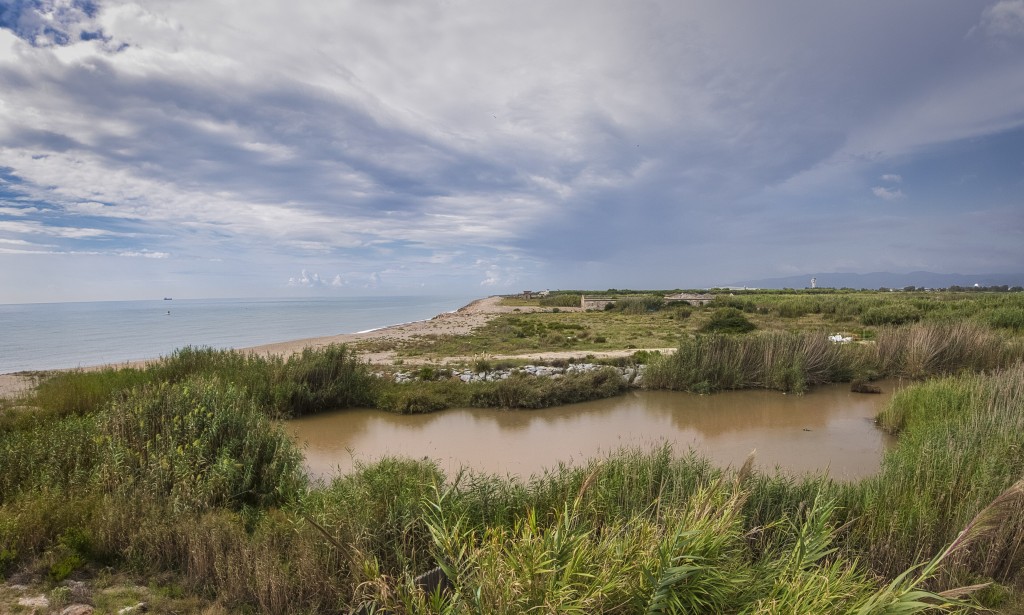 Observación de aves en el Delta del Llobregat, Barcelona