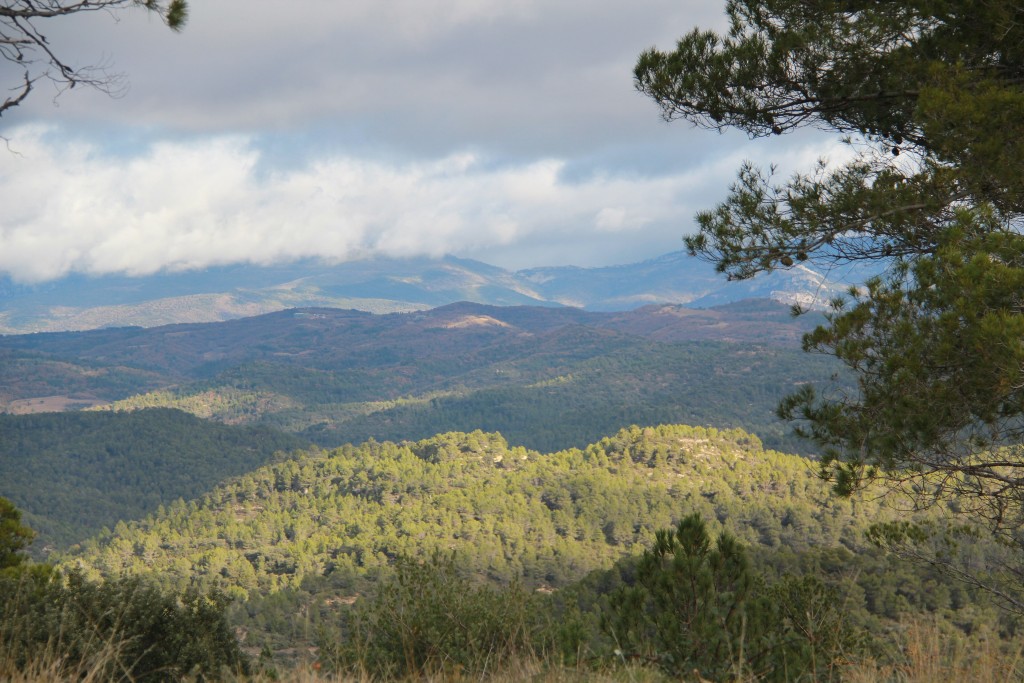 Paisaje Protegido de la Sierra de Santo Domingo, Cinco Villas (Zaragoza)