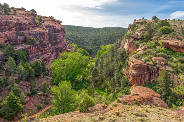 Paisaje Protegido de los Pinares de Rodeno, Sierra de Albarracín
