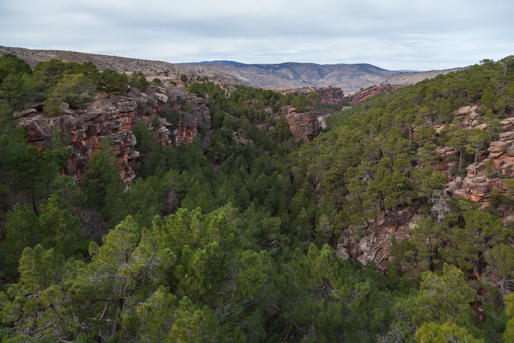 Paisaje Protegido de los Pinares de Rodeno, Sierra de Albarracín