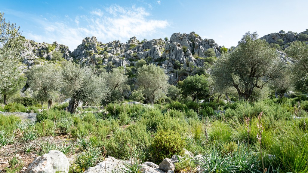 Paratge Natural de la Serra de Tramuntana, Mallorca
