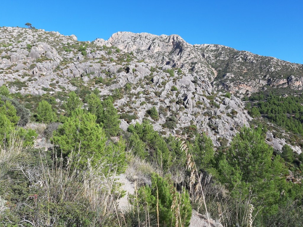 Paratge Natural de la Serra de Tramuntana, Mallorca