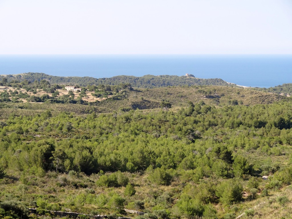 Parc Natural de la Península de Llevant, Mallorca