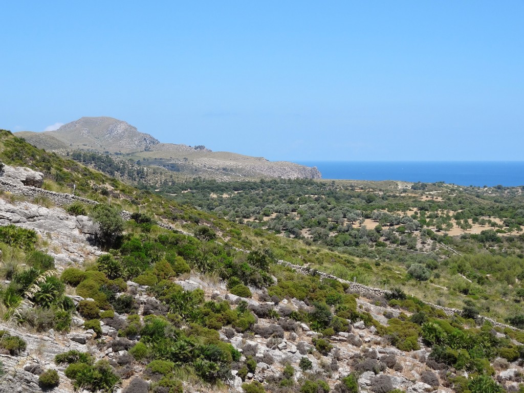 Parc Natural de la Península de Llevant, Mallorca