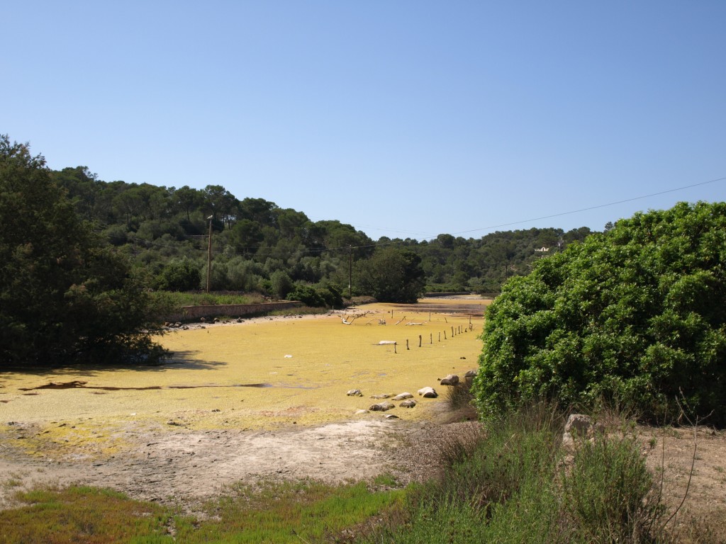 Parc Natural de Mondragó, Santanyí (Mallorca)