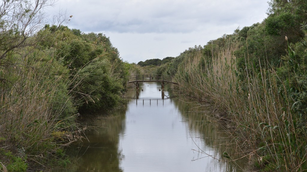 Parc Natural de s’Albufera de Mallorca, Mallorca
