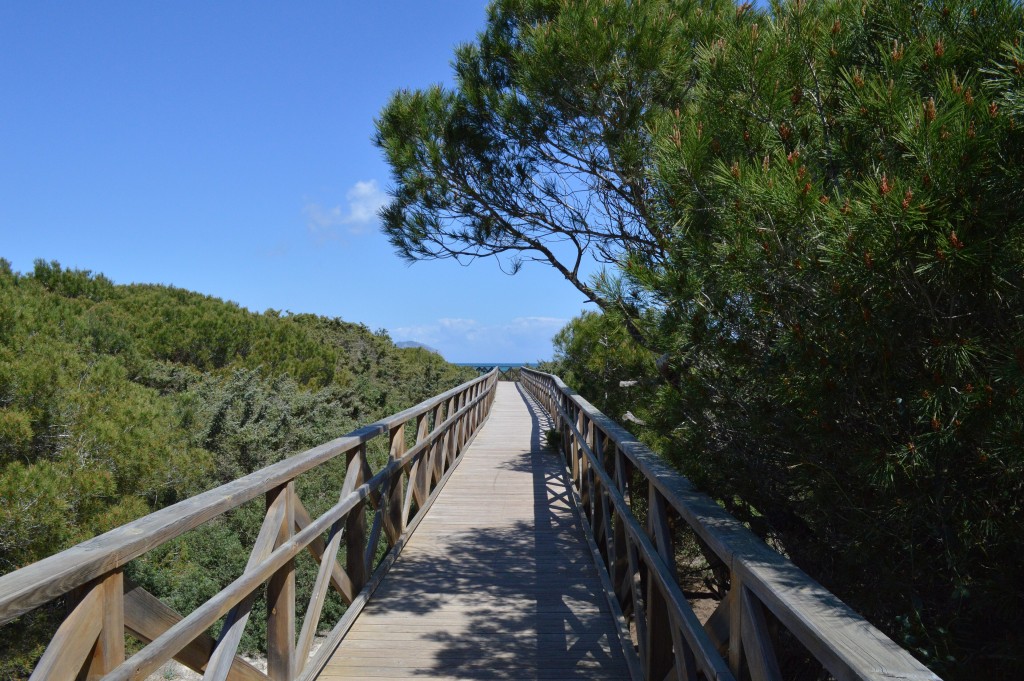 Parc Natural de s’Albufera de Mallorca, Mallorca